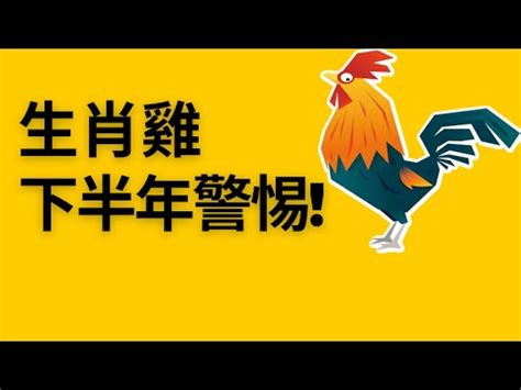 2023屬雞運勢|2023年12生肖運勢大全——生肖雞